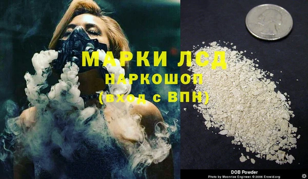 индика Михайловка