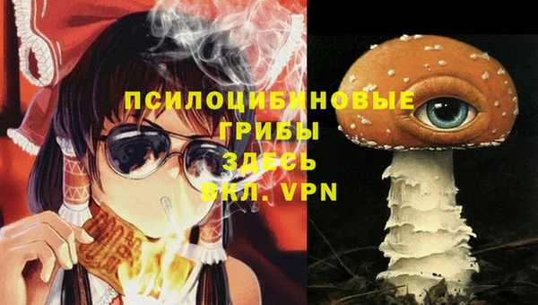 индика Михайловка