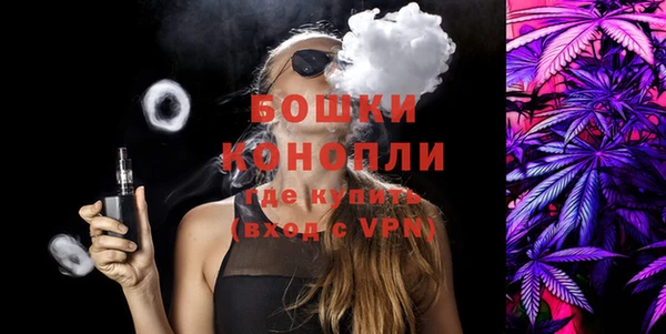 индика Михайловка