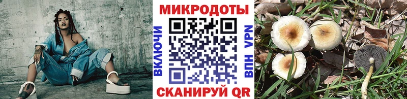 Купить  Отрадная  Галлюциногенные грибы MAGIC MUSHROOMS 